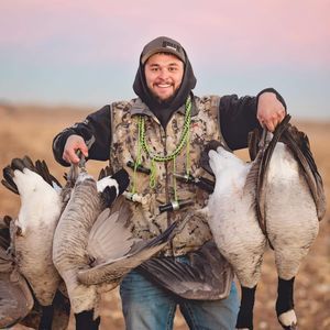 Meet your Posher, Brody